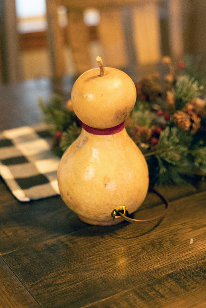 Gingerbread Man Gourd Back View at Meadowbrooke Gourds. 
