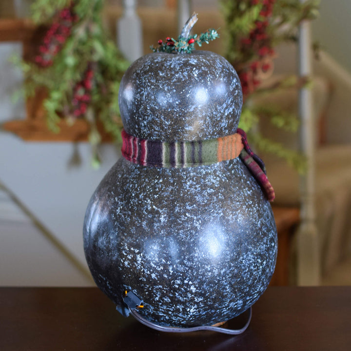 Preston Penguin Gourd - Back View at Meadowbrooke Gourds. 