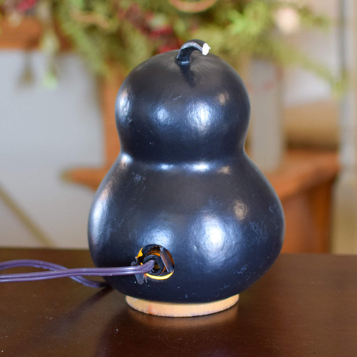 Parkin Small Lit Penguin Gourd - Back View at Meadowbrooke Gourds. 