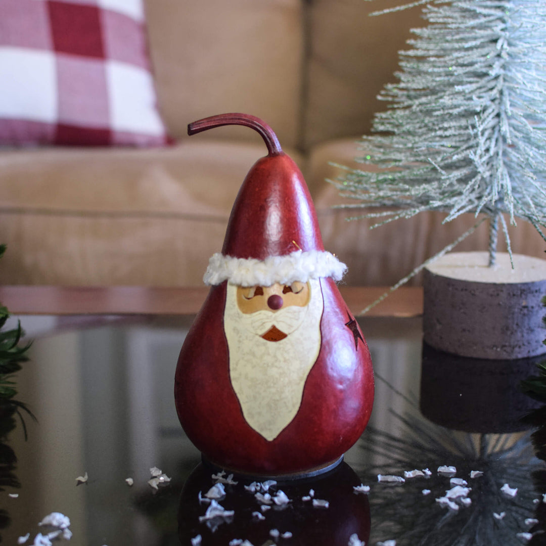 Santa Miniature Gourd at Meadowbrooke Gourds. 
