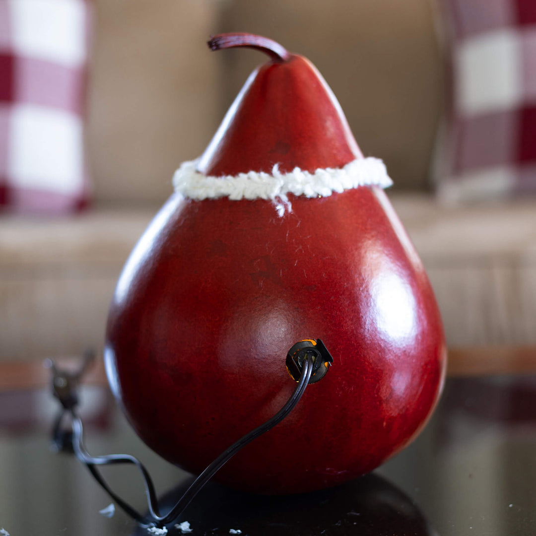 Santa Large Lit Gourd -Back View at Meadowbrooke Gourds. 