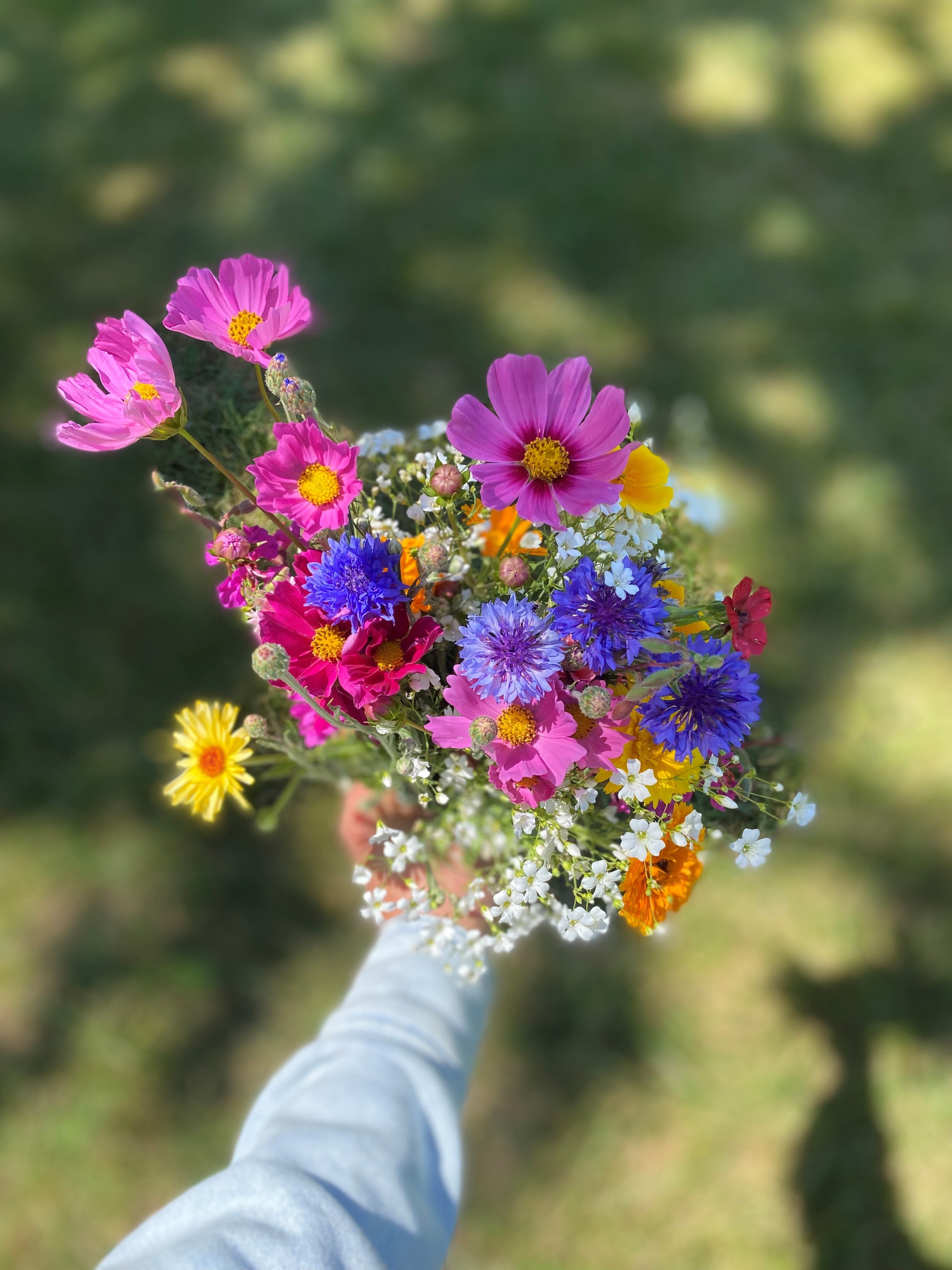 Bouquet of wildflowers at Meadowbrooke Gourds