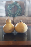 Wren gourds at Meadowbrooke Gourds