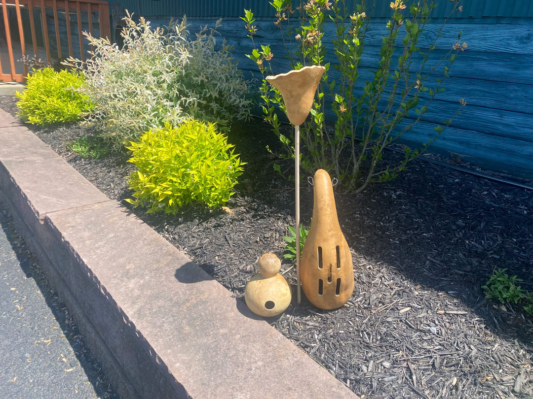 gourd birdhouse birdfeeder and butterfly house