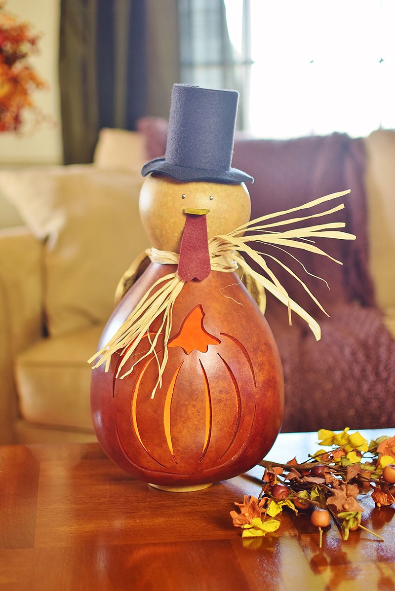 Large Theodore turkey lit gourd  at Meadowbrooke Gourds