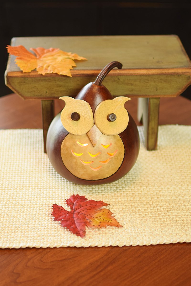 Professor Owl lit gourd at Meadowbrooke Gourds