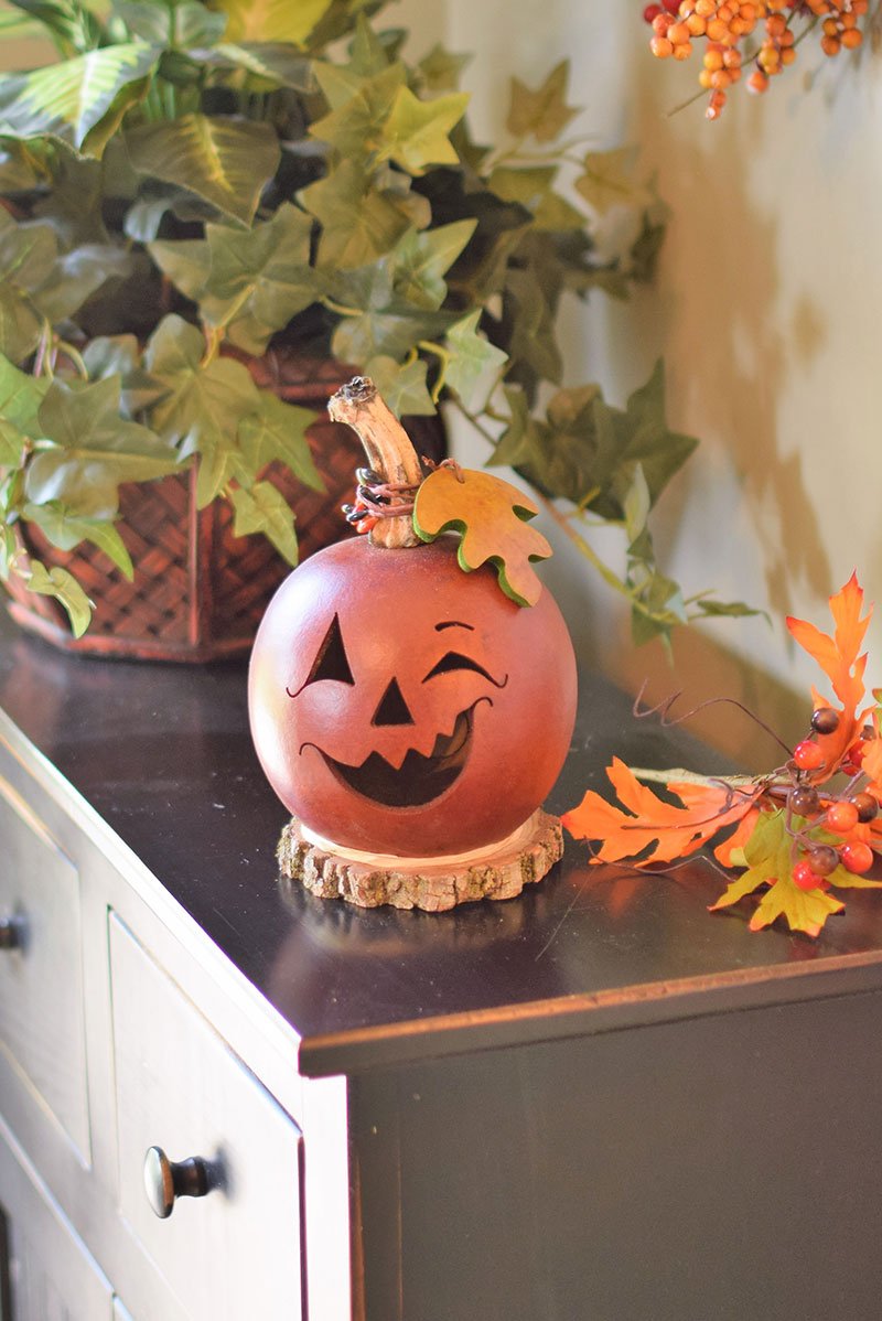 Fredrick jack o lantern gourd at Meadowbrooke Gourds