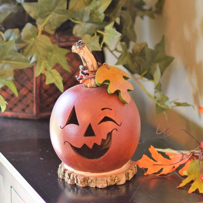 Fredrick jack o lantern gourd at Meadowbrooke Gourds
