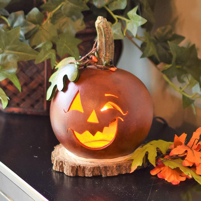 Fredrick lit gourd at Meadowbrooke Gourds