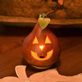 Traditional Jack lit gourd  at Meadowbrooke Gourds