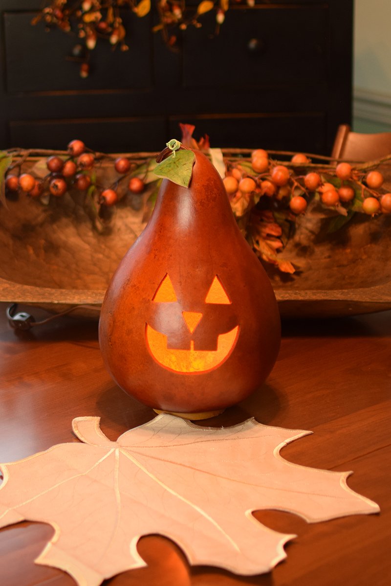 Traditional Jack lit gourd  at Meadowbrooke Gourds