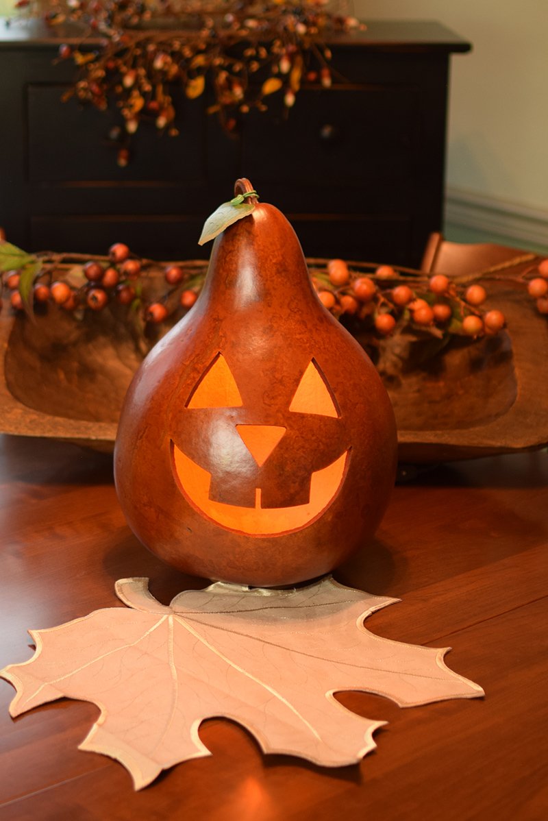 Large traditional jack lit gourd  at Meadowbrooke Gourds