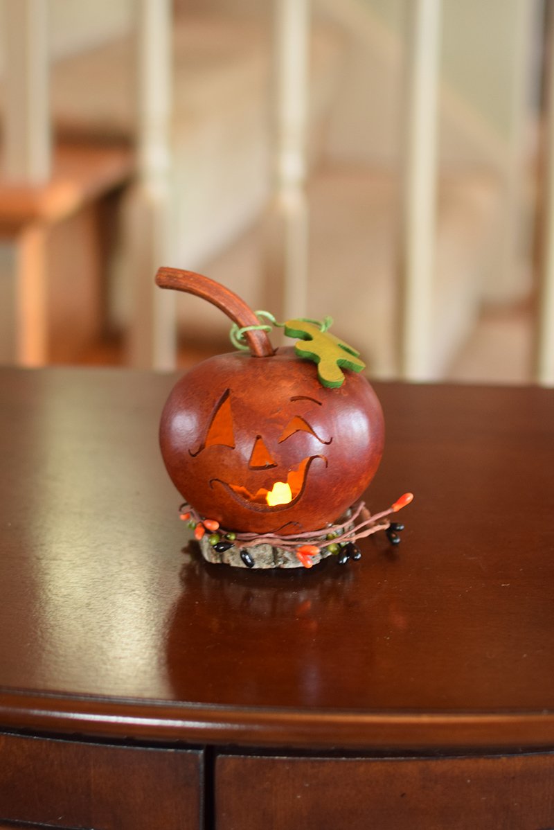 Miniature Fredrick gourd at Meadowbrooke Gourds