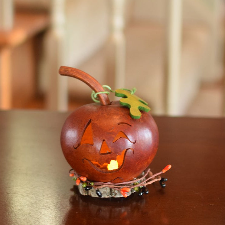 Miniature Fredrick gourd at Meadowbrooke Gourds