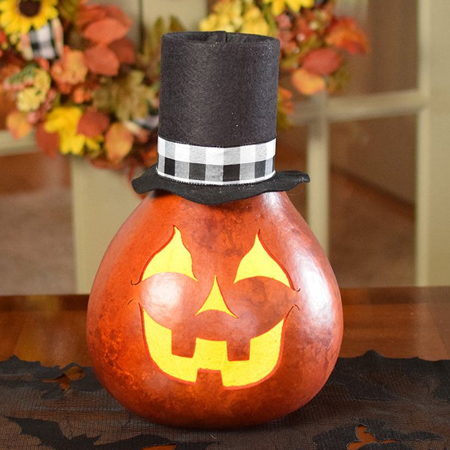 Arthur the jack o lantern gourd at Meadowbrooke Gourds