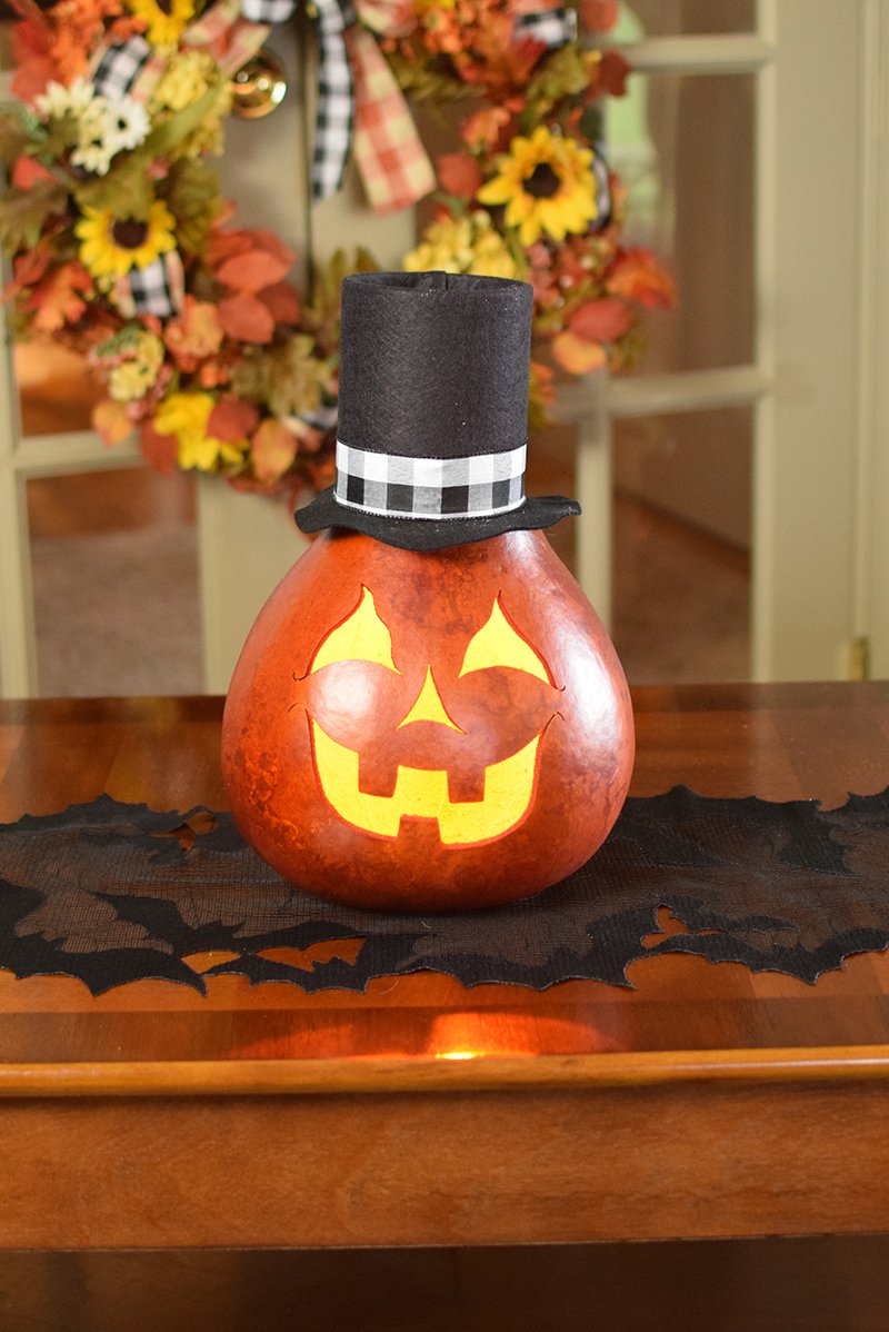 Arthur the jack o lantern gourd at Meadowbrooke Gourds