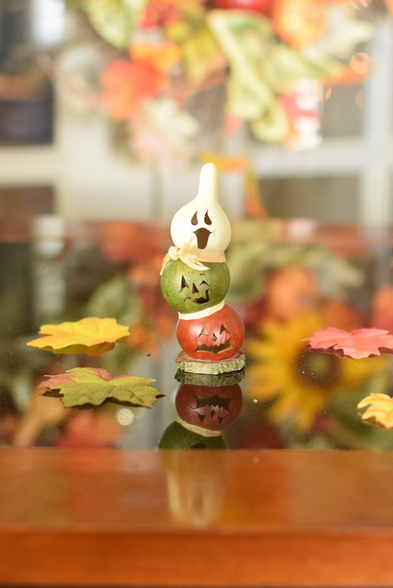 Little Jack Stack gourd at Meadowbrooke Gourds