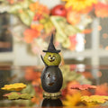 Little Fiona witch gourd at Meadowbrooke Gourds