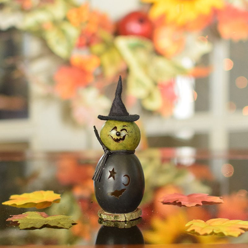 Little Fiona witch gourd at Meadowbrooke Gourds