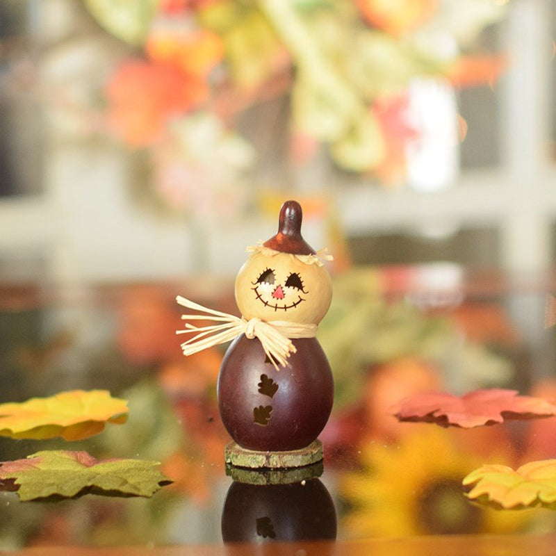 Little Warehime scarecrow gourd at Meadowbrooke Gourds
