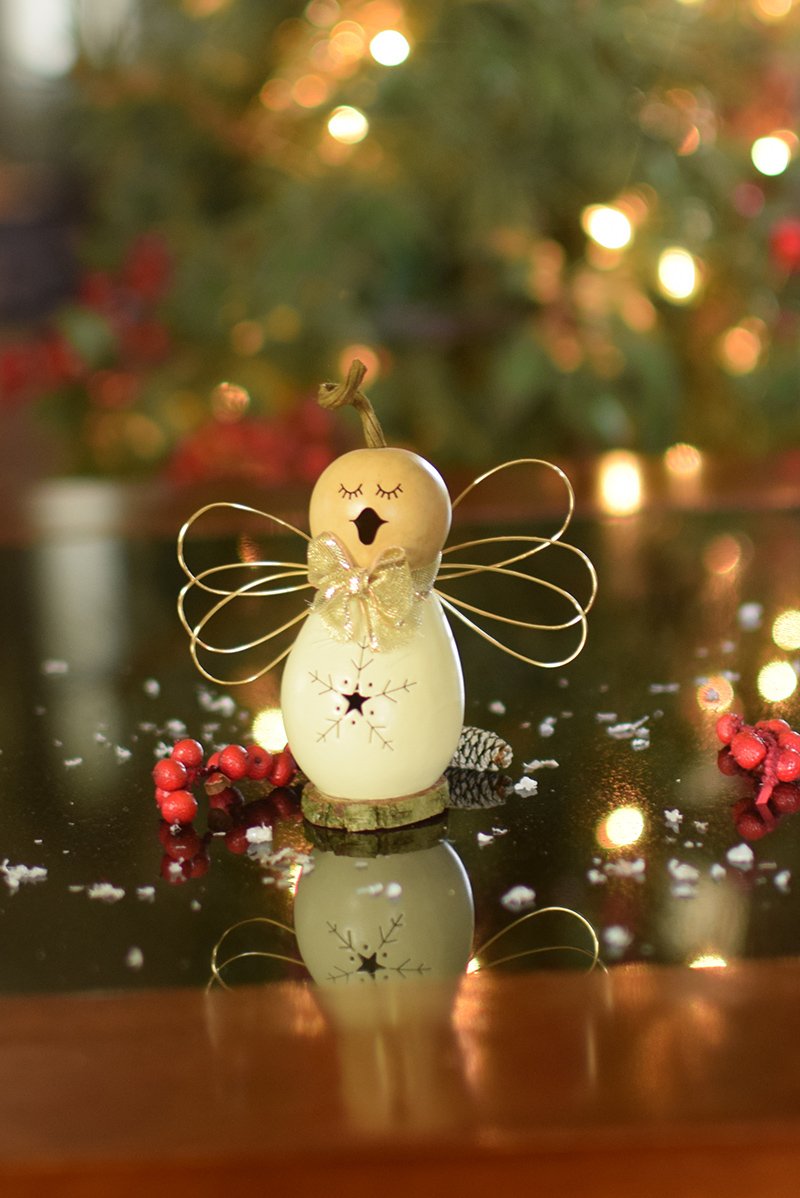 Little Julia angel gourd at Meadowbrooke Gourds