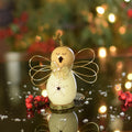 Little Julia angel gourd at Meadowbrooke Gourds