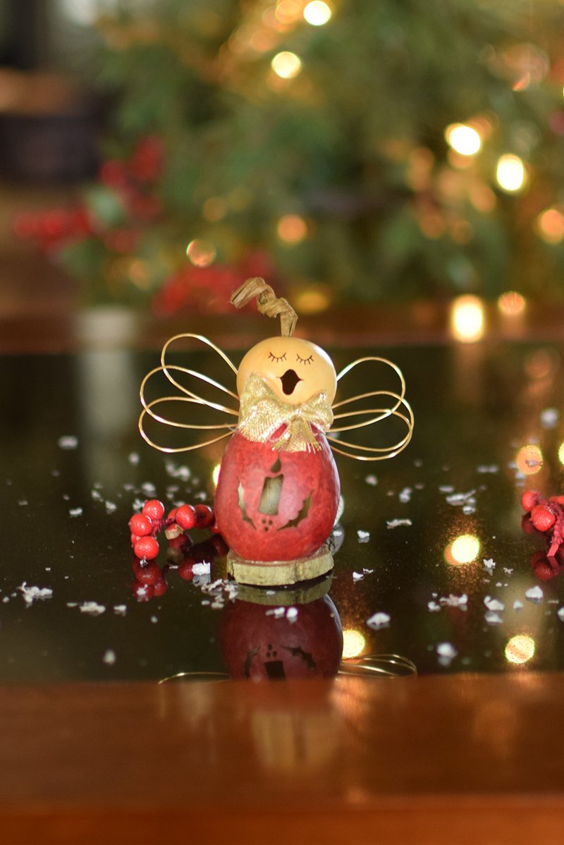 Little Anastasia angel gourd at Meadowbrooke Gourds