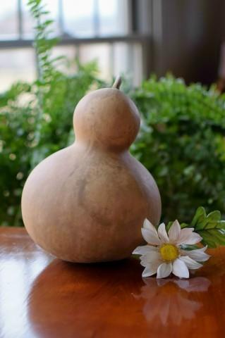 Clean raw bottle gourd