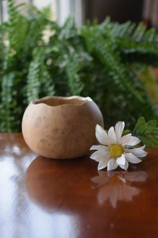 Scalloped edge gourd bowl