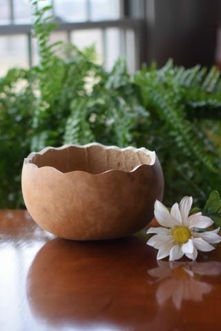 Raw 7 Inch Scalloped Cut Bowl