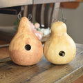 Two cleaned raw birdhouses