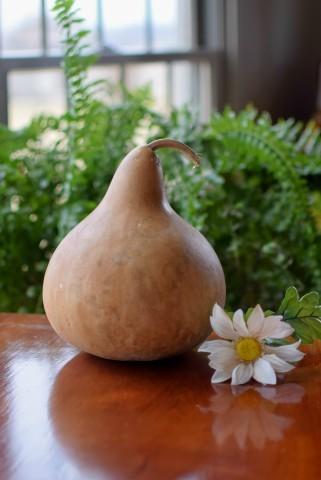 Clean raw martin gourd