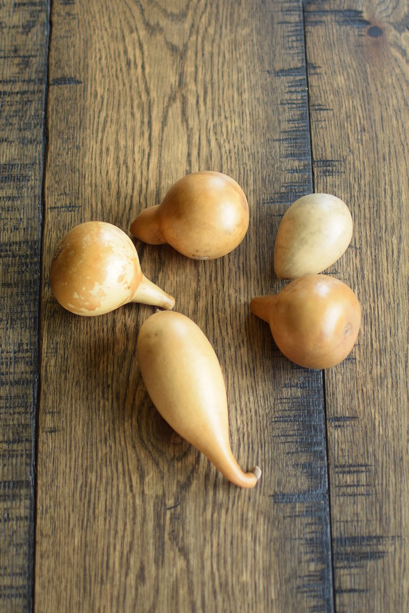 Bowl Fillers - Natural