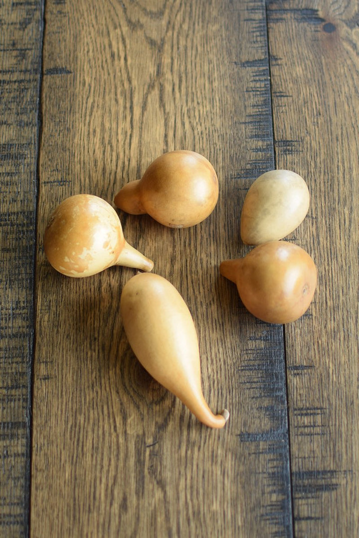 Bowl Fillers - Natural