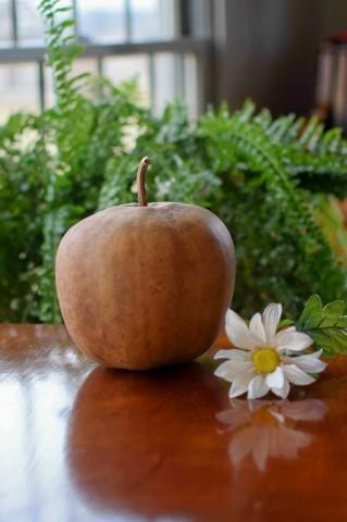 Cleaned raw apple gourd