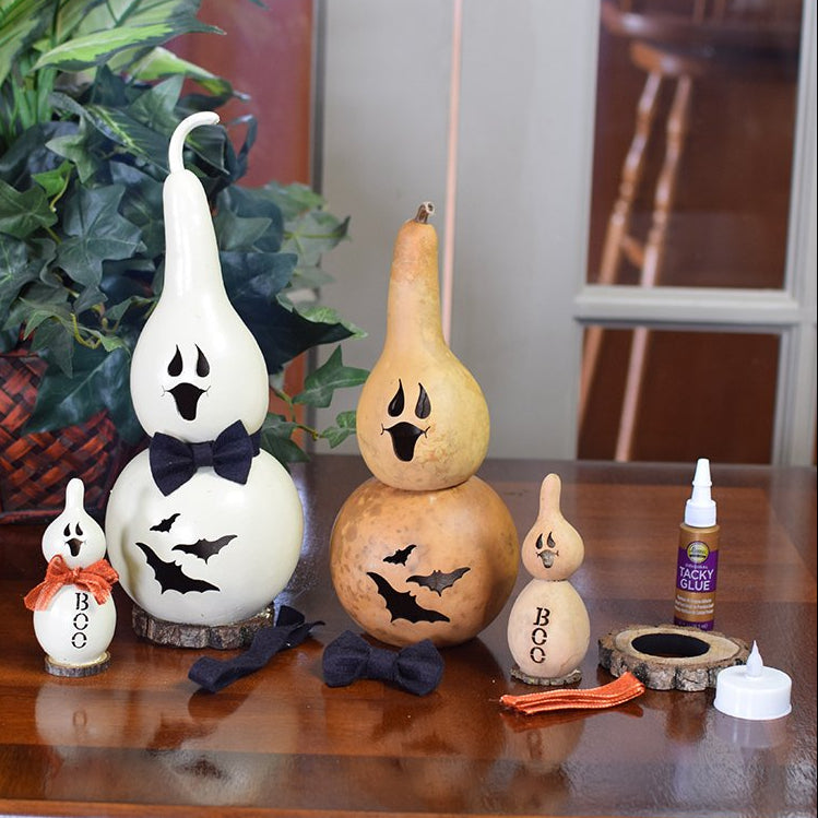 Ghost gourd kit finished and unfinished