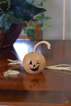 jack o lantern gourd kit unfinished