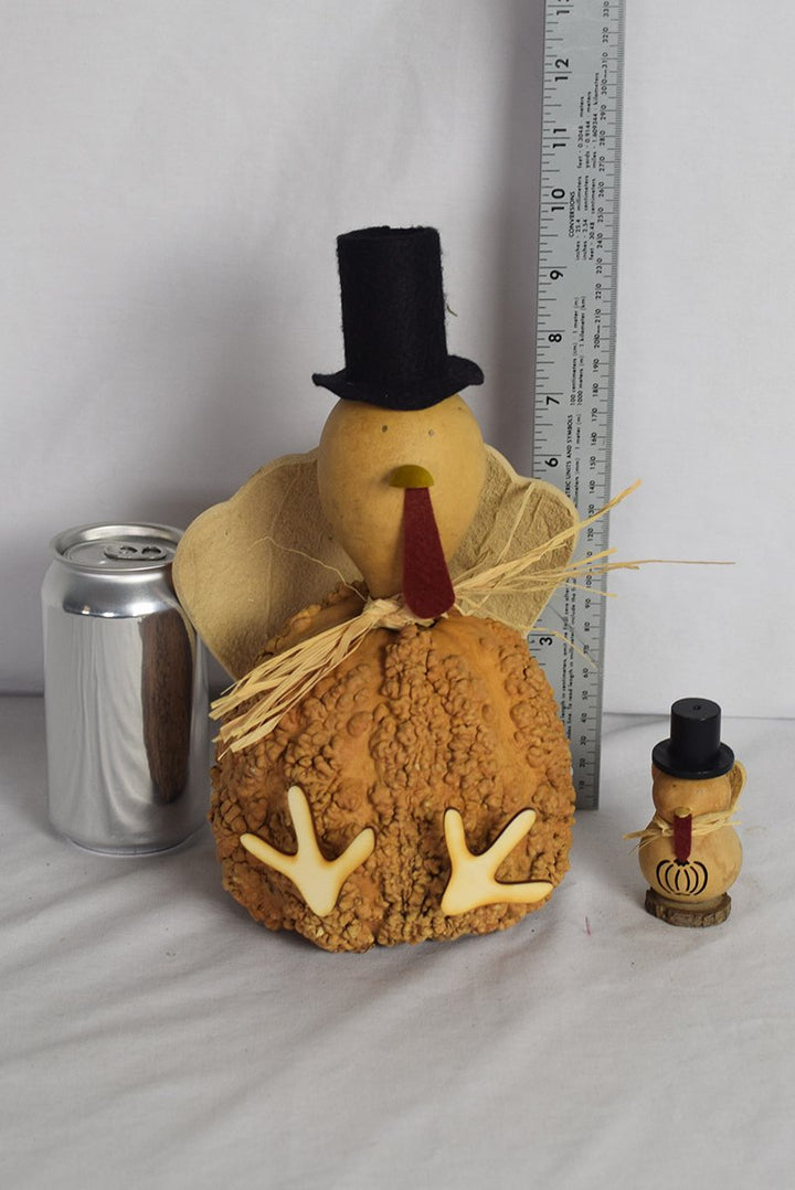 Craft Kit - Theodore the Turkey