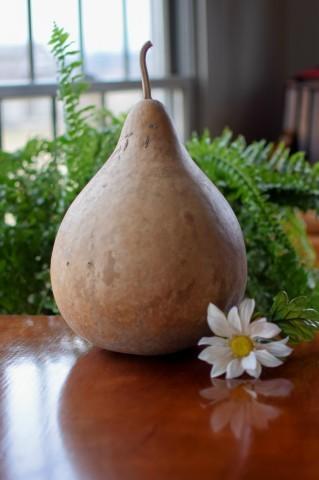 Cleaned raw martin gourd