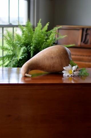Cleaned raw penguin gourd