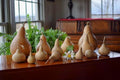 Cleaned raw gourds