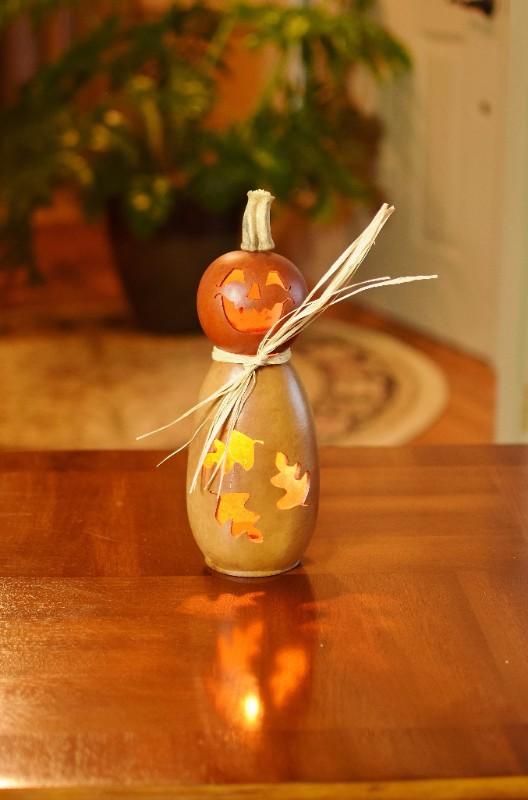 Dexter scarecrow lit gourd at Meadowbrooke Gourds