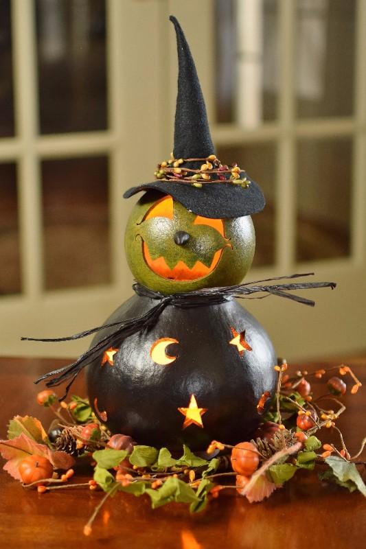 Fiona the witch gourd at Meadowbrooke Gourds