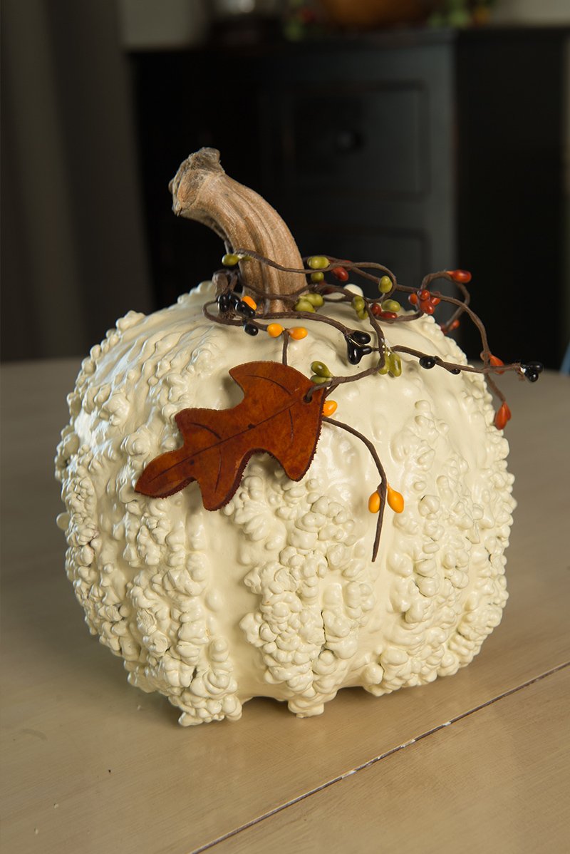 Textured pumpkin gourd  at Meadowbrooke Gourds