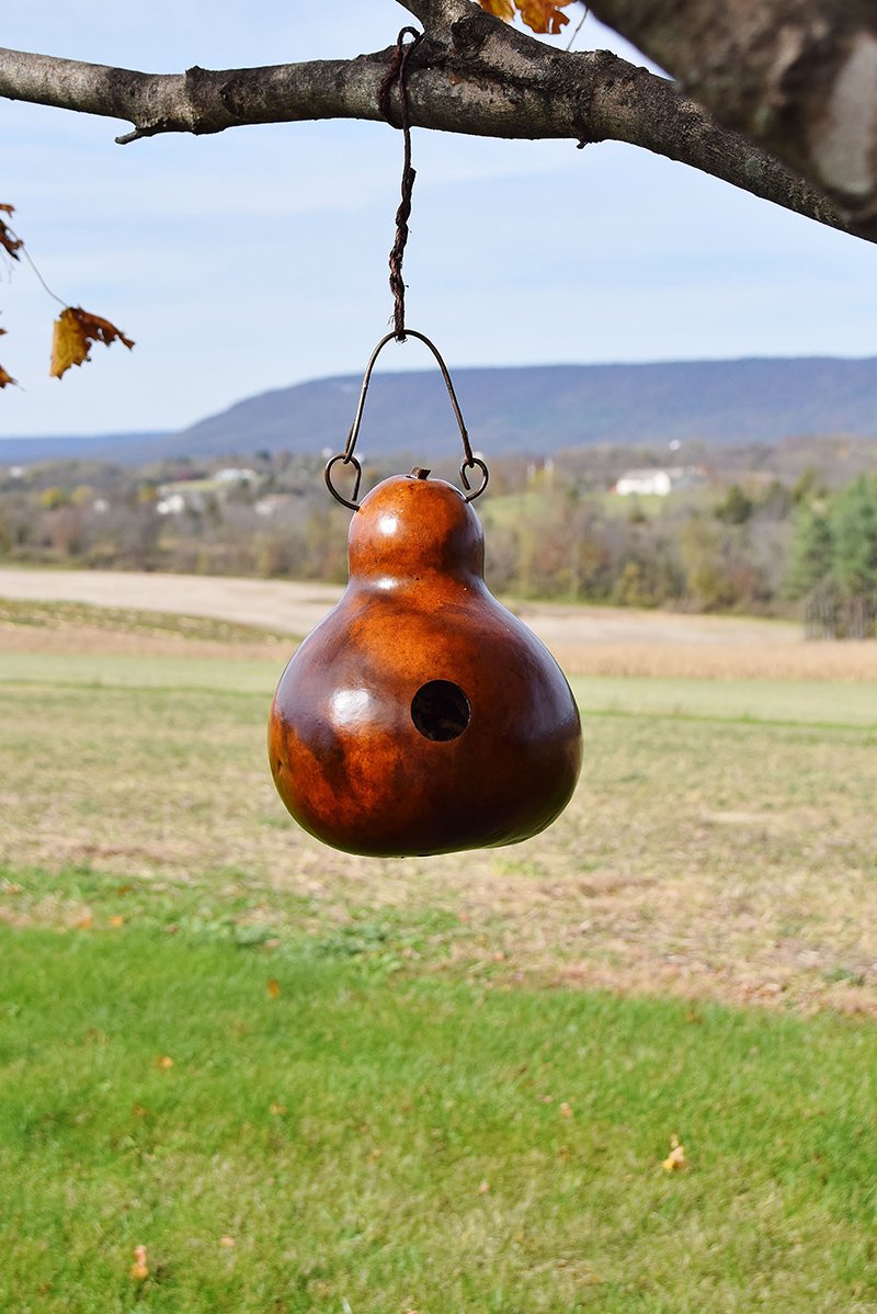 birdhouse gourd