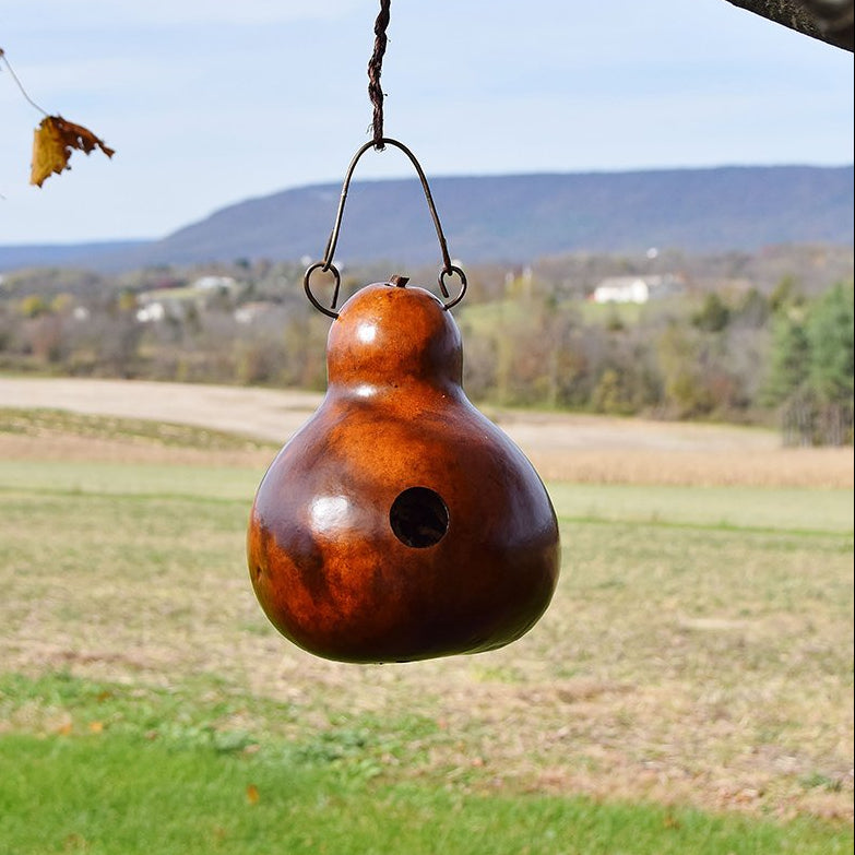 birdhouse gourd