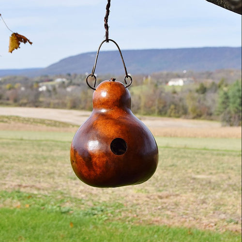 birdhouse gourd