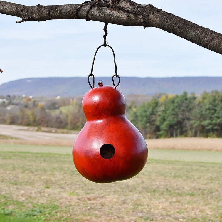 birdhouse gourd