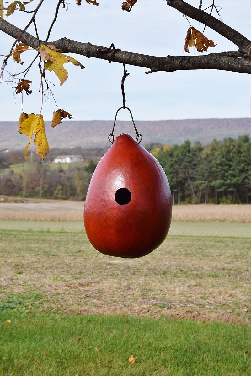 Bungalo Birdhouse - Red