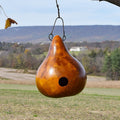 Gourd birdhouse